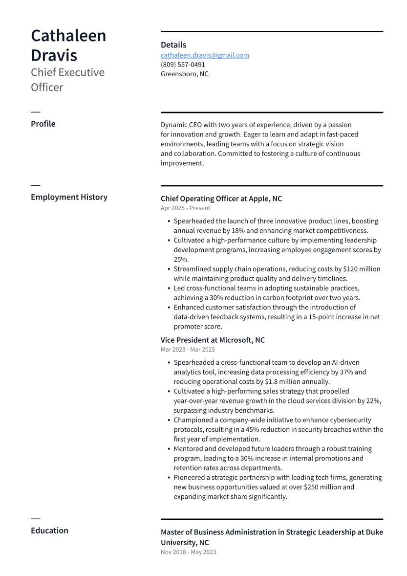 Chief Executive Officer Resume Example