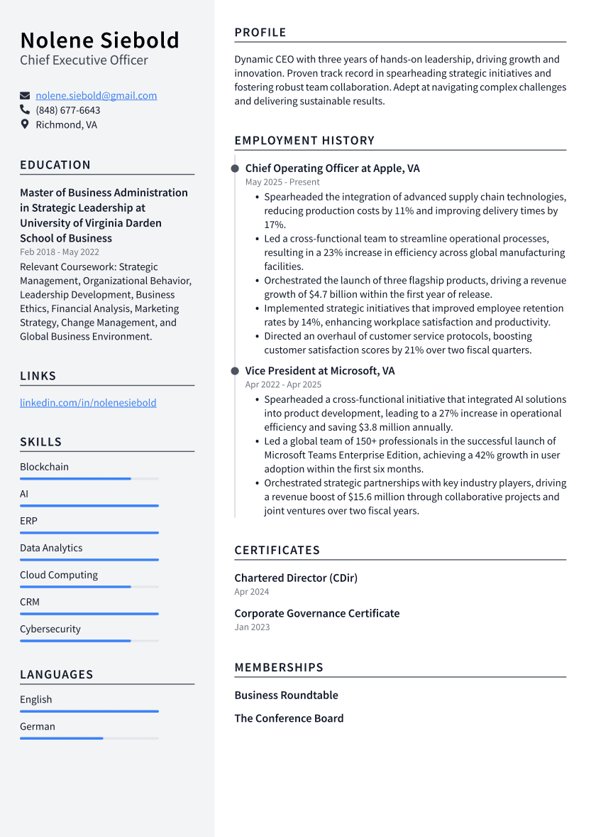 Chief Executive Officer Resume Example