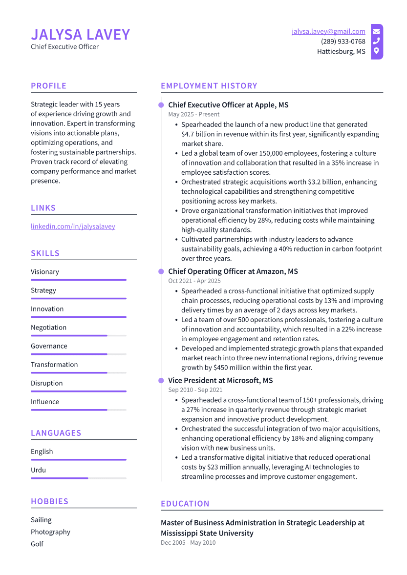 Chief Executive Officer Resume Example
