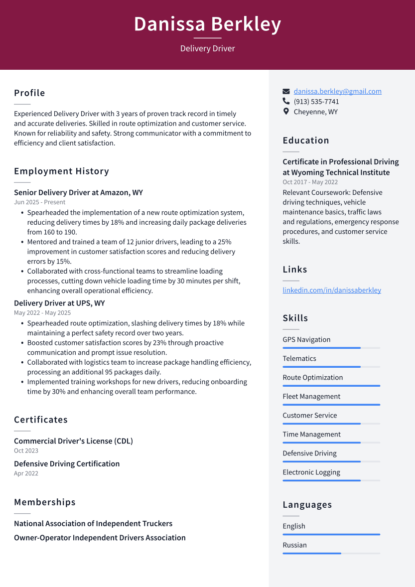 Delivery Driver Resume Example