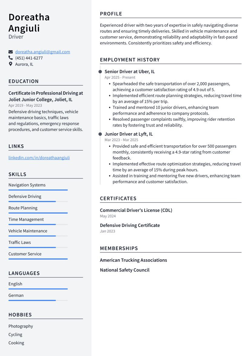 Driver Resume Example