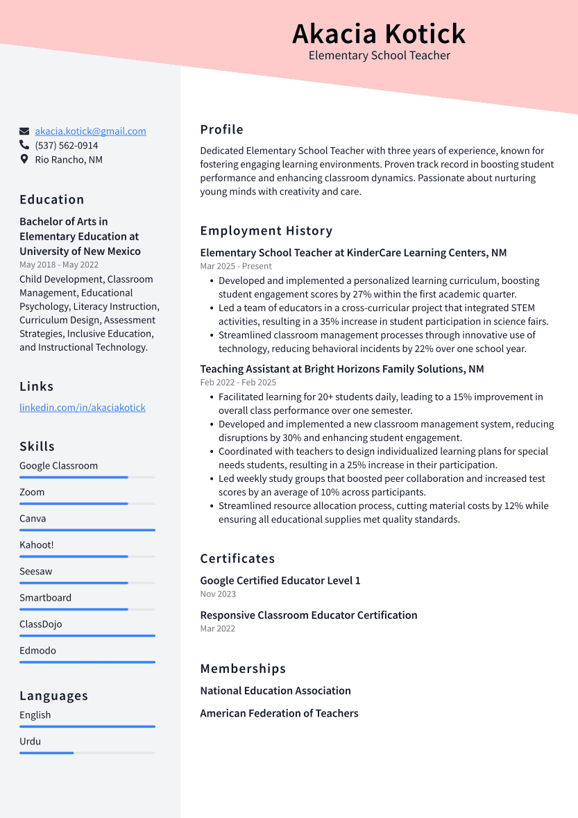 Elementary School Teacher Resume Example