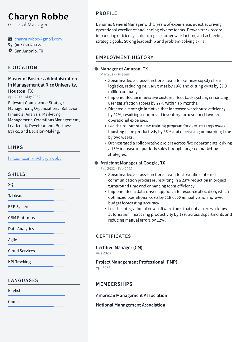 General Manager Resume Example