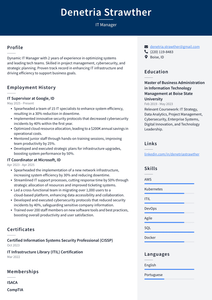 IT Manager Resume Example