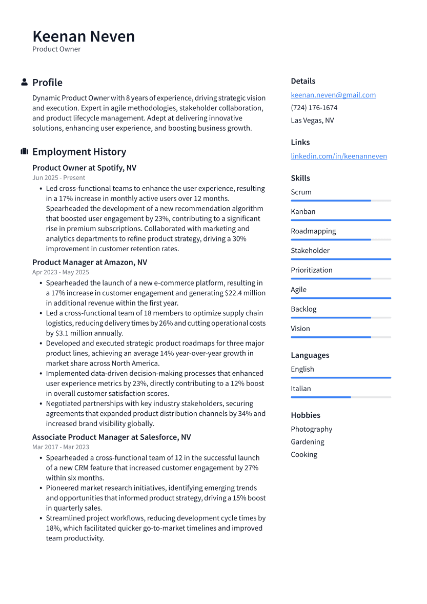 Product Owner Resume Example