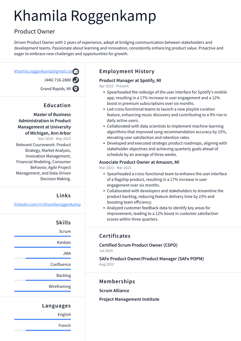 Product Owner Resume Example