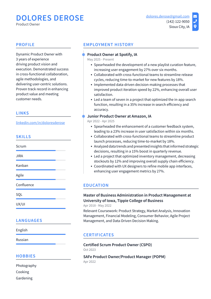 Product Owner Resume Example
