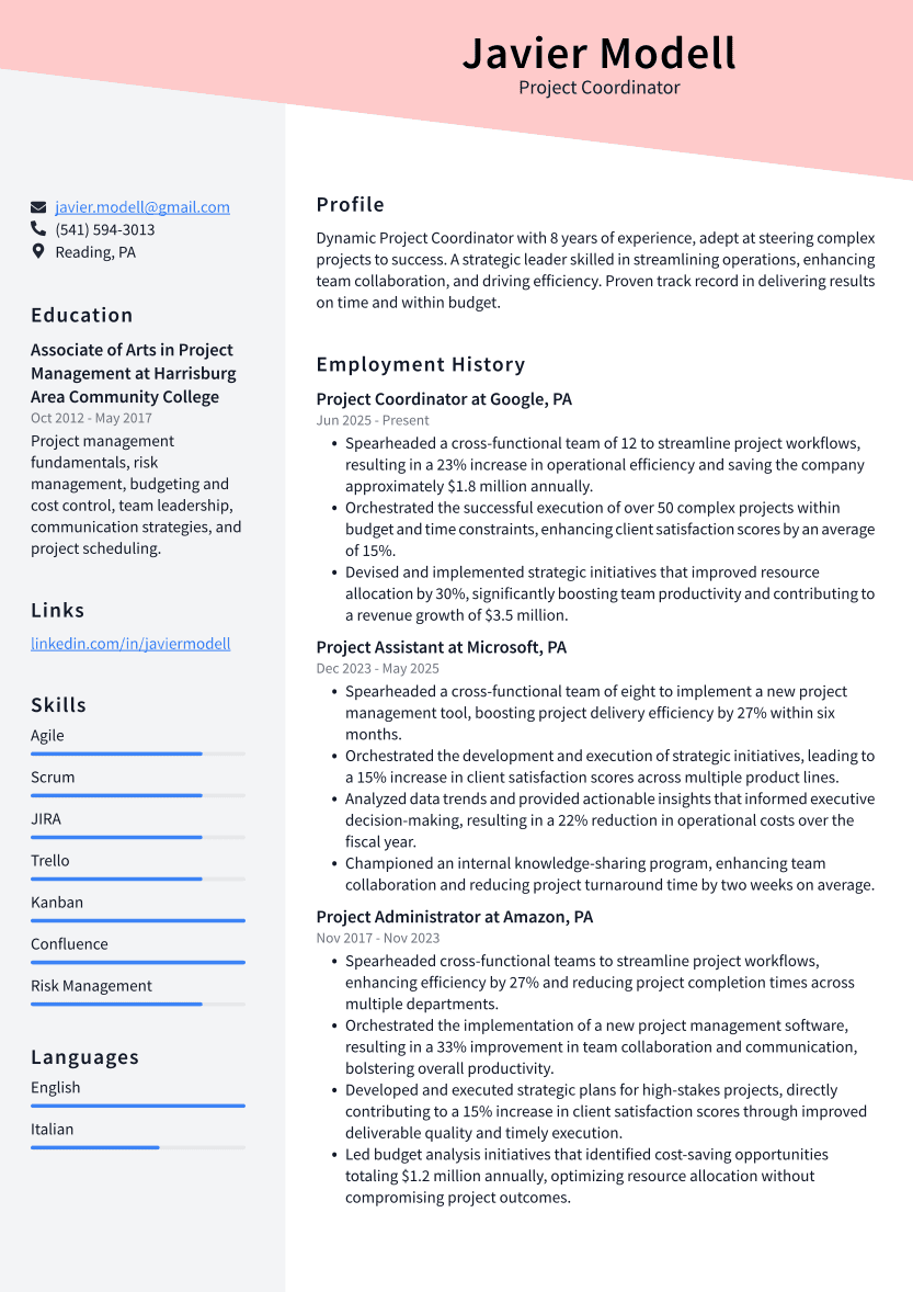 Project Coordinator Resume Example