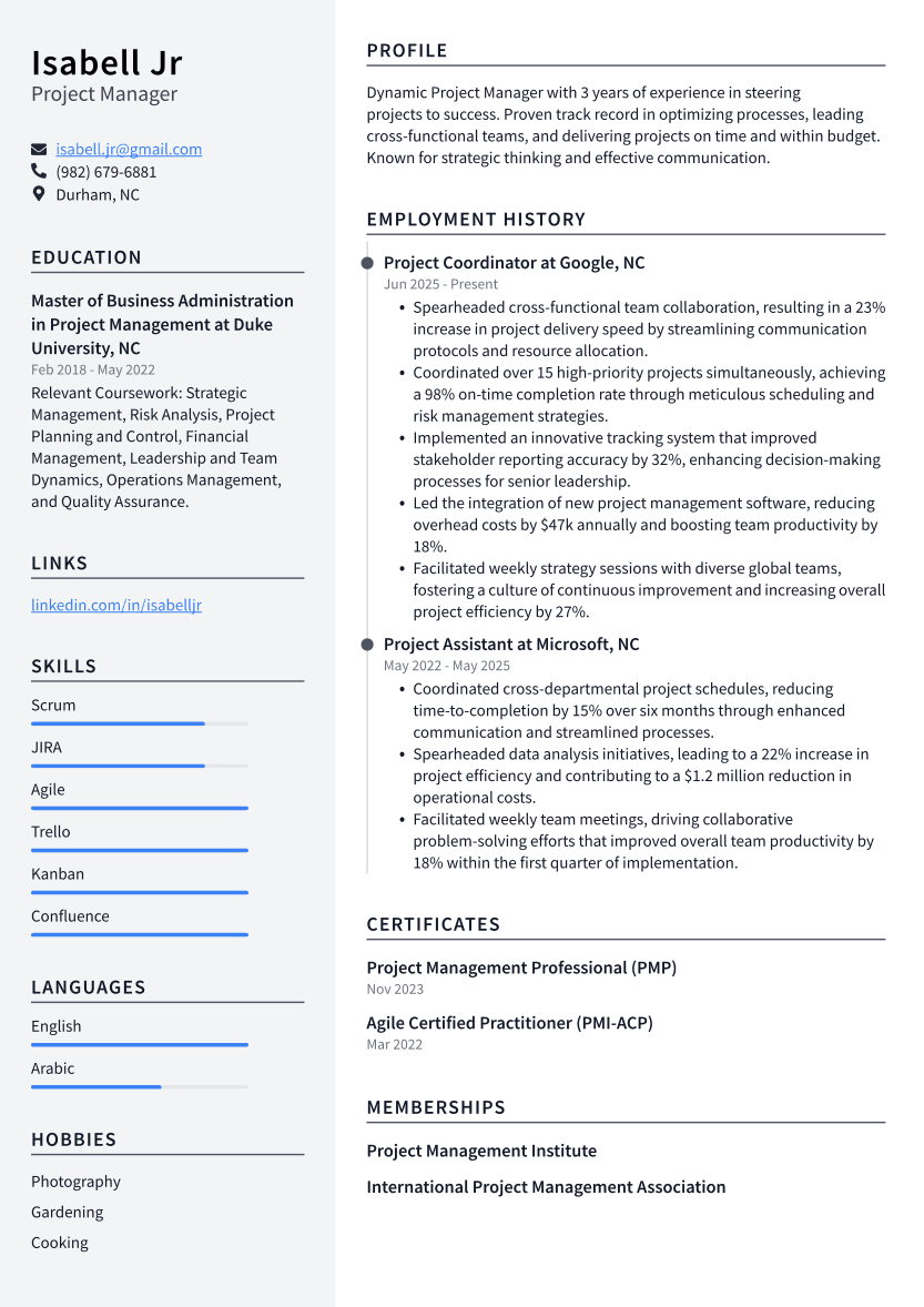 Project Manager Resume Example