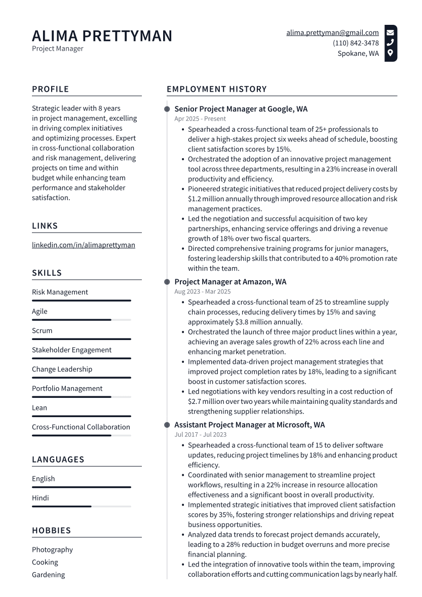 Project Manager Resume Example
