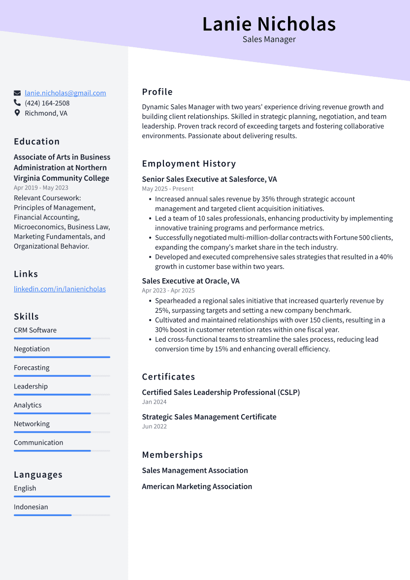 Sales Manager Resume Example