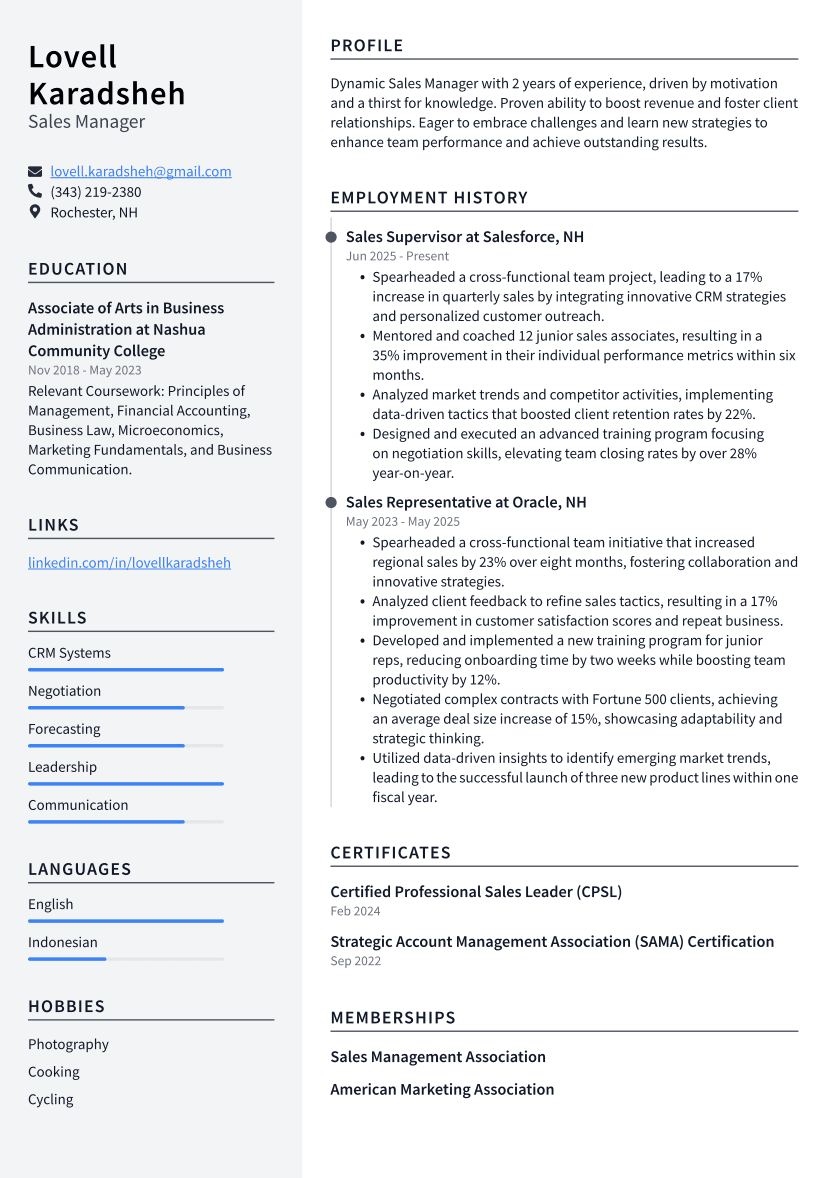 Sales Manager Resume Example