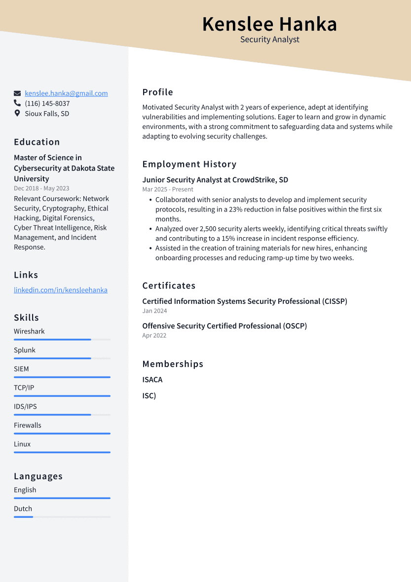 Security Analyst Resume Example