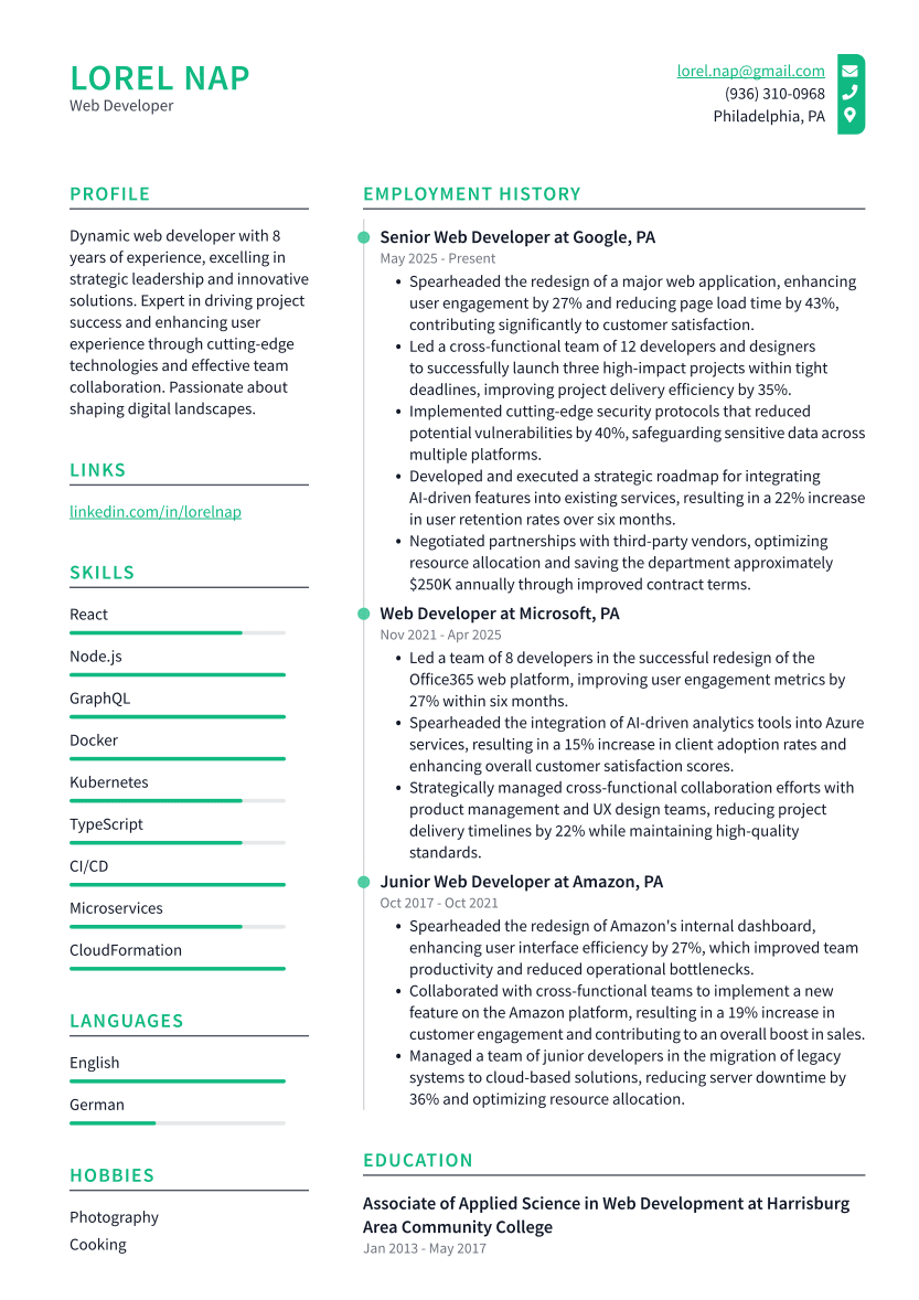 Web Developer Resume Example
